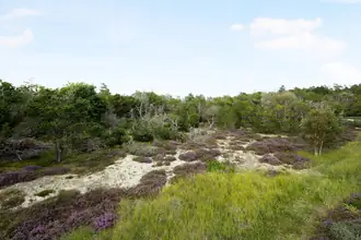 Fritidsgrund på Oksevej 19, Bunken, 9982 Ålbæk