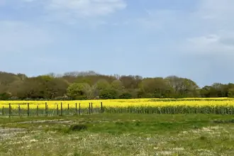 Helårsgrund på Vestervej 14, Vesteregnen, 5935 Bagenkop