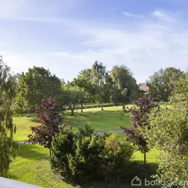 Træer og buske står i ro i en stor park med grønt græs og klar blå himmel.