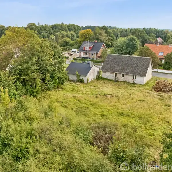 En græsmark er omgivet af træer og ligger tæt på et par huse. Husene har røde og grå tage, og der er en asfalteret vej i nærheden.