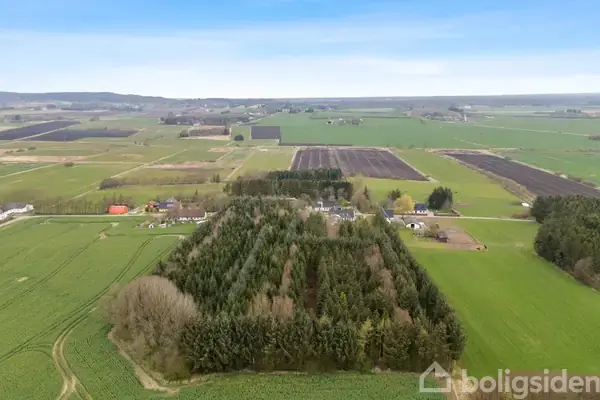 Skovområde ligger stille blandt marker i et landligt landskab, omkranset af grønne marker og spredte gårde, der strækker sig i horisonten under en blå himmel.
