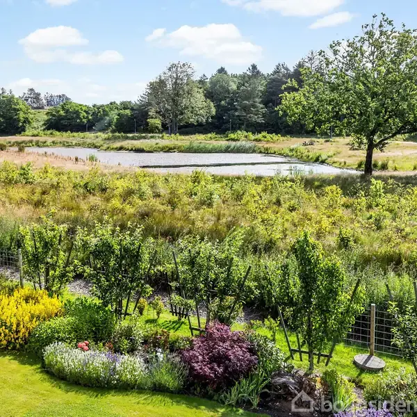 En smuk have med blomsterbede og buske i forgrunden fører hen mod en stille sø omgivet af træer og vild vegetation. En enkelt træ står nær søen under en blå himmel.