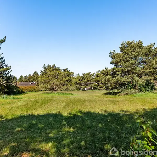 Græsplæne strækker sig ud blandt spredte træer i et åbent naturområde, muligvis en have eller en park. En blå himmel er synlig over det grønne landskab.