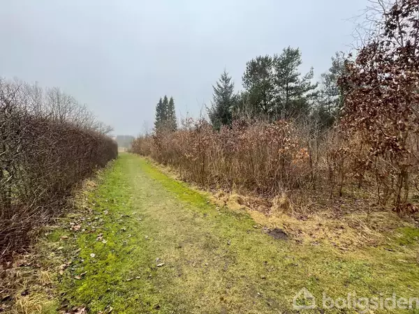 Sti, omgivet af græs og buske, fører gennem et skovområde under en overskyet himmel.
