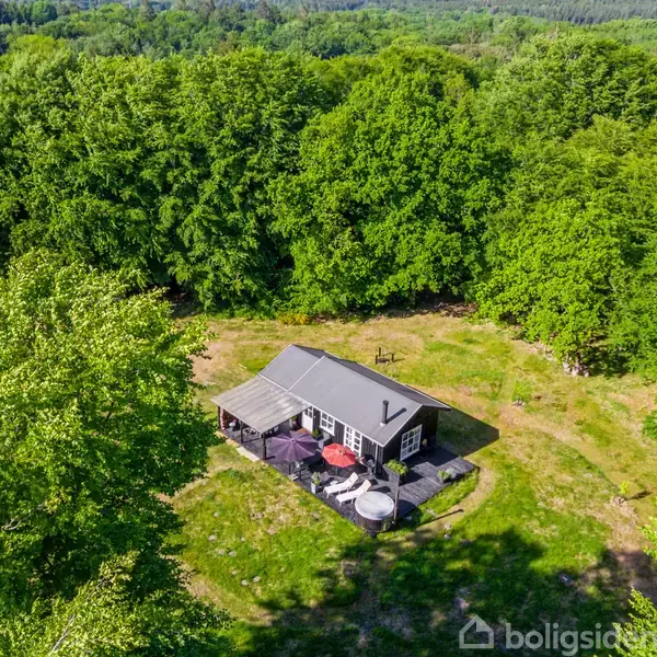 Lille sort hytte står stille omgivet af tæt grøn skov. Grussti fører til veranda med havemøbler. Sollys skaber skarpe skygger på græs.