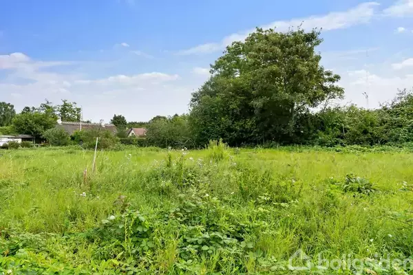 En grøn, uplejet mark med højt græs og spredte buske omgiver et stort træ. I baggrunden ses en række mindre huse under en blå himmel med lette skyer.