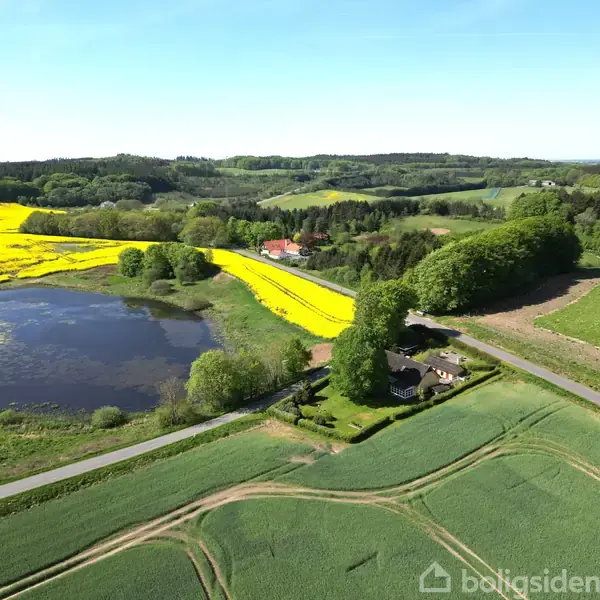 Landskab set fra luften med en sø omgivet af grønt marker, skovområder og gule rapsmarker. En vej løber gennem området, hvor et hus ligger nær skovgrænsen.