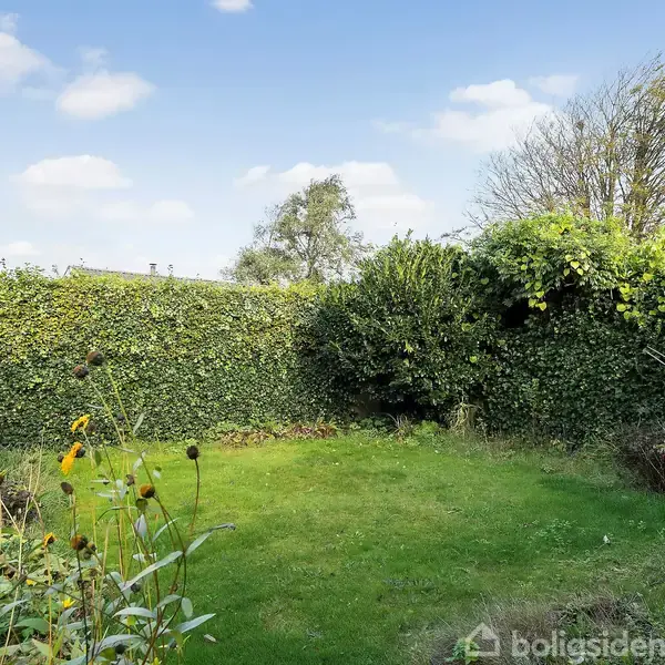 En grøn græsplæne omgivet af høje buske og træer, med blomster i forgrunden under en klar blå himmel.