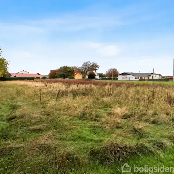 Græsmark strækker sig mod horisonten med spredte buske. I baggrunden ses huse med røde tage og himlen er klar og blå.