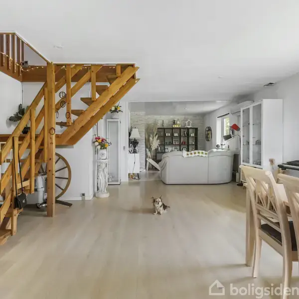 En trætrappe står i venstre side, en lille hund sidder midt i et lyst rum med parketgulv. Baggrunden viser en lys stue med sofaer og spisebord.
