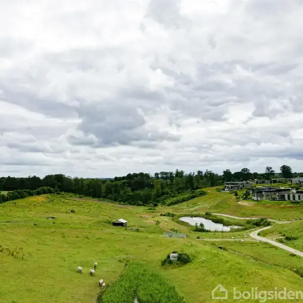 Grønt landskab med græssende får, en lille dam og spredte huse i baggrunden under en skyet himmel.