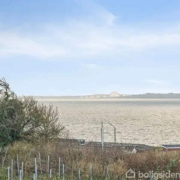 Træ står stille ved vandet, omgivet af buske og træpæle. I baggrunden ses en bred, rolig sø under en klar, blå himmel.