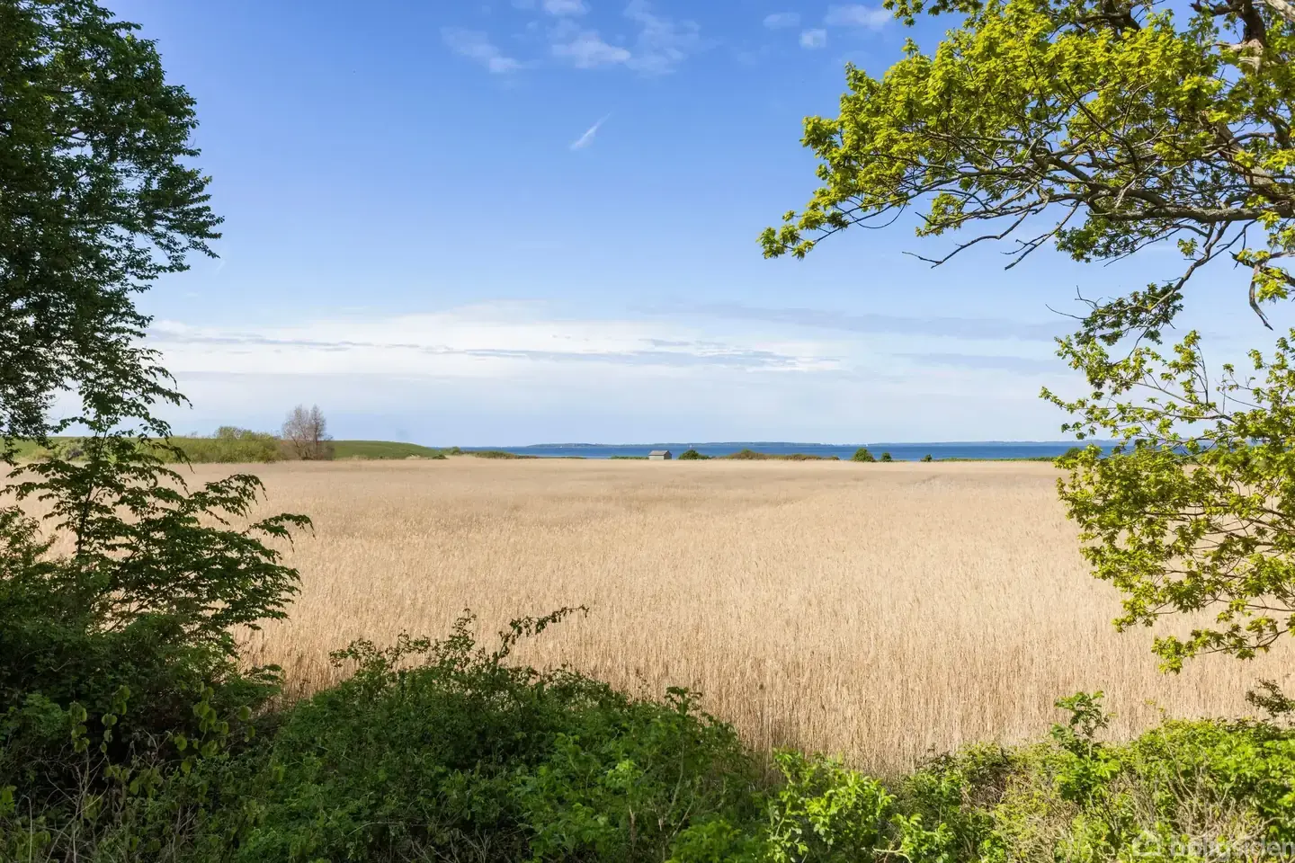 Hus – Tranekær, Åsø - Visning 2