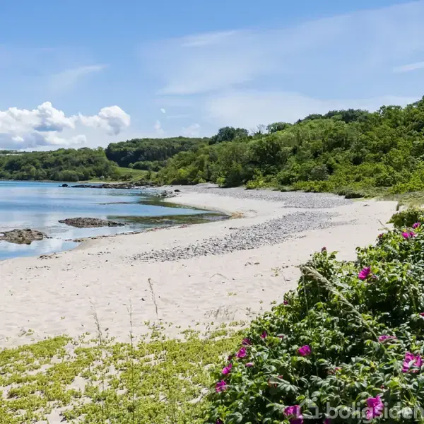Strand med hvidt sand strækker sig langs kysten. Havet er roligt, og omgivet af grønne bakker og blomstrende buske. Store, hvide skyer hænger over det blå, klare himmel.