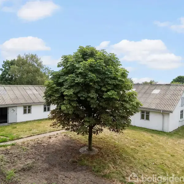 Et hvidt hus med skråtag står stille. Omkring huset er der en stor central træ i en åben græsplæne. Blåt skyet himmel i baggrunden.