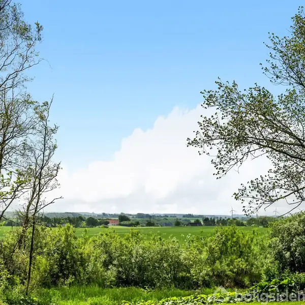 En grøn mark strækker sig i horisonten omgivet af træer og buske under en klar blå himmel.