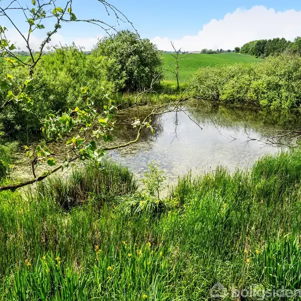 En lille sø med klart vand og træer vokser langs bredden. Omkring er grønne marker og buske i et bakket landskab under en blå himmel med få skyer.