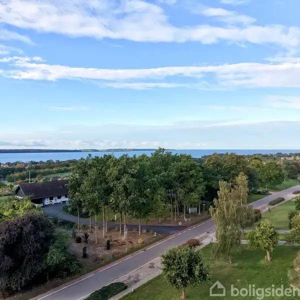 Vej med træer langs siden løber gennem et grønt landskab. I baggrunden ses havet og en spredt bebyggelse under en blå himmel.