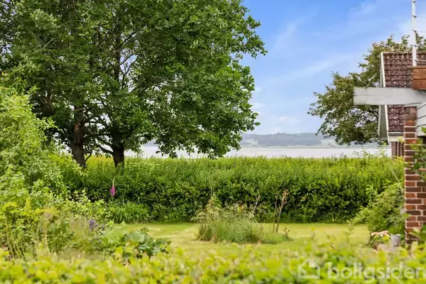 En grøn have omkranset af buske med et stort træ til venstre. En bygning ses til højre, og i baggrunden anes en sø eller en flod. Ingen tekst.