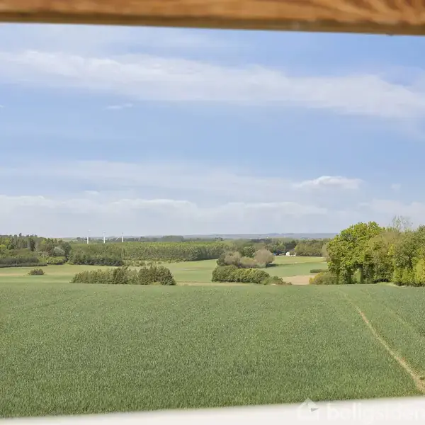 En grøn mark strækker sig ud mod horisonten, omgivet af skove og åbent landskab under en blå himmel med spredte skyer.