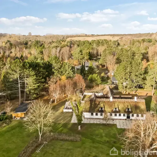Hus med stråtag ligger i en skovomgivelse, omgivet af høje træer og en stor græsplæne. Scenen er set fra oven, hvor landskabets frodighed og bygningens traditionelle stil fremhæves.