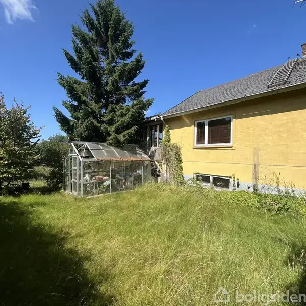 Et gult hus med et skråt tag er omgivet af en have. Et drivhus står til venstre ved siden af en stor grantræ. Græsset er højt og grønt.