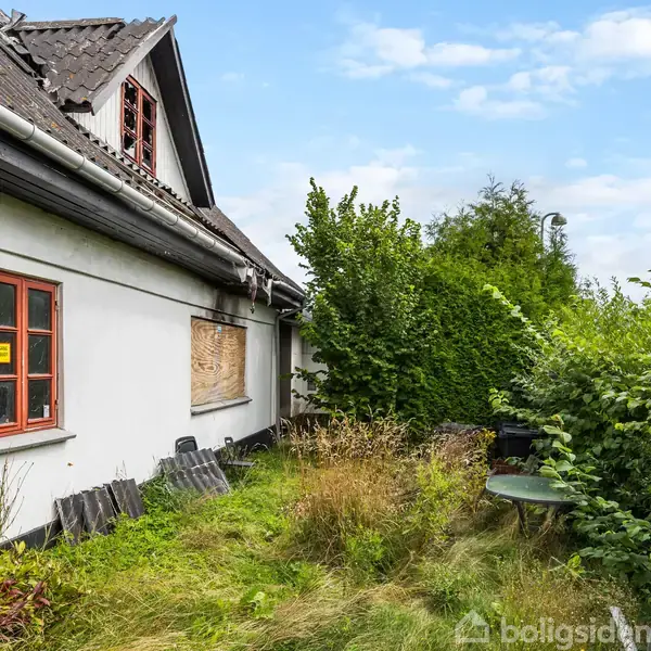 Et gammelt hus med røde vinduer står delvist i skygge. Vinduerne er delvist dækket af plader. Haven er tilgroet med ukrudt og buske, omringet af højt græs.