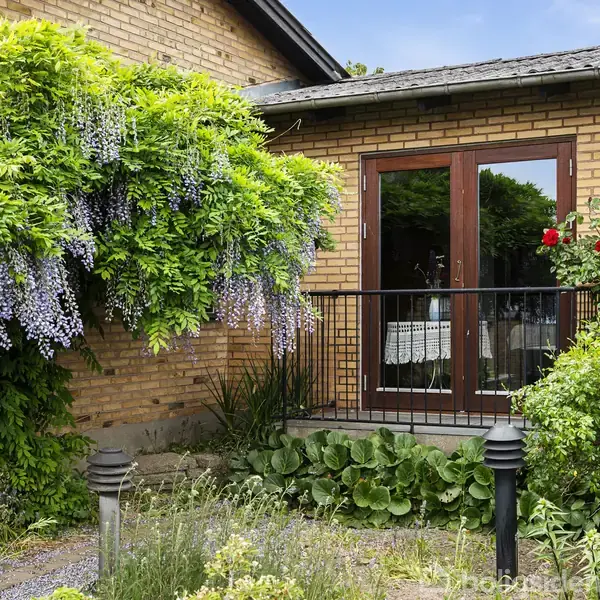 Bungalow med gul murstensvæg. Blomstrende blåregn hænger over en trappe med gelænder. Roser og grønne planter i haven. Trædør med glas fører ind i huset.