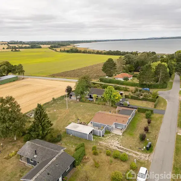 Huse med haver langs en vej i et landligt område, omgivet af marker og skov, tæt på en kystlinje ved havet under en overskyet himmel.