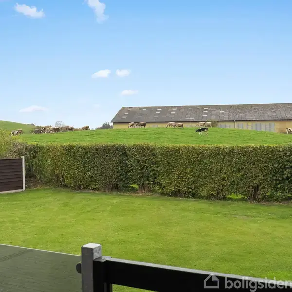 Græsplæne med terrasse i forgrunden, omkranset af hegn og hæk. I baggrunden græsmark med køer og en lade under en blå himmel med få skyer.