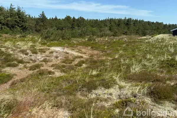 Fritidsgrund på Arvidvej 34, 6960 Hvide Sande