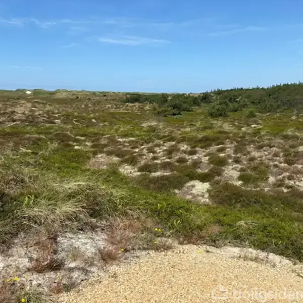 Et landskab med græsklædte klitter strækker sig mod horisonten under en klar blå himmel. Området er præget af lav vegetation og enkelte sandede pletter.
