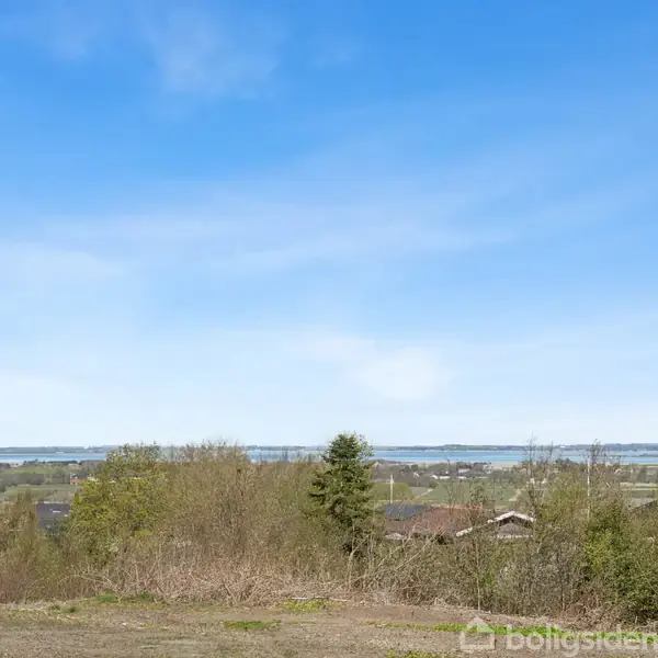 Landskab med en åben mark forrest, nogle buske og træer i midten, og en udsigt til en sø eller hav i baggrunden under en klar blå himmel.