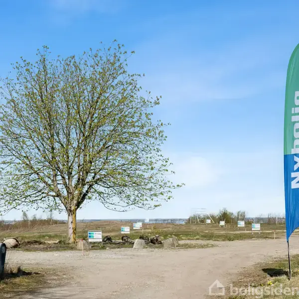 Et træ står på en grusvej flankeret af to flag, der bærer teksten "NY BOLIG," i et åbent område med spredt vegetation.