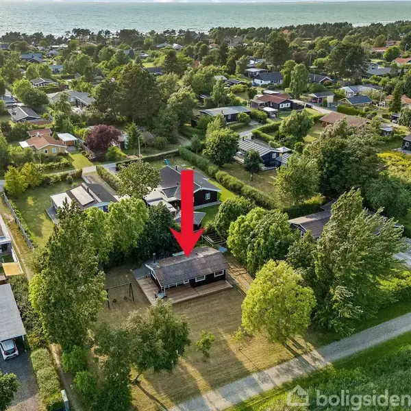 En høj græsbevoksning strækker sig ud over en mark omgivet af frodige træer under en skyfri blå himmel, hvilket skaber en naturskøn og fredfyldt atmosfære.