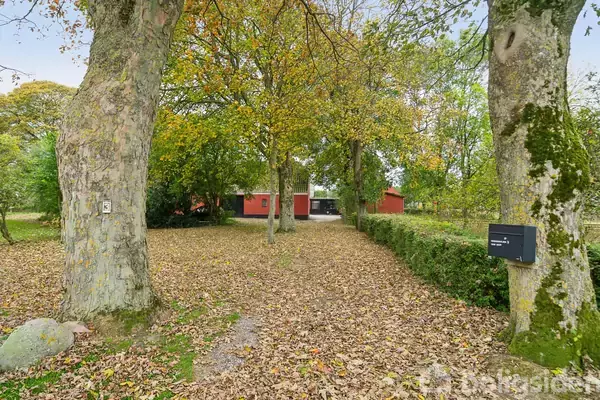 En grusvej dækket af nedfaldne blade fører til et rødt hus omgivet af store træer. En postkasse er monteret på et af træerne.