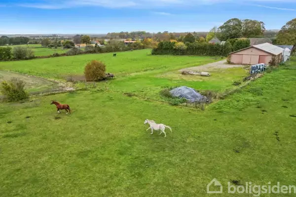 To heste løber på en grøn mark ved siden af en bygning, omgivet af flere marker og træer i det åbne landskab.