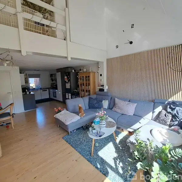En stue med en stor lysegrå hjørnesofa, hvorpå en kat sidder. Der er et rundt sofabord, og rummet har et højt loft med et åbent første sal. En stor vægur uden tal er på væggen.