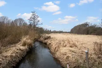 Villa på Bogensevej 33, Bro Mølle, 5464 Brenderup Fyn