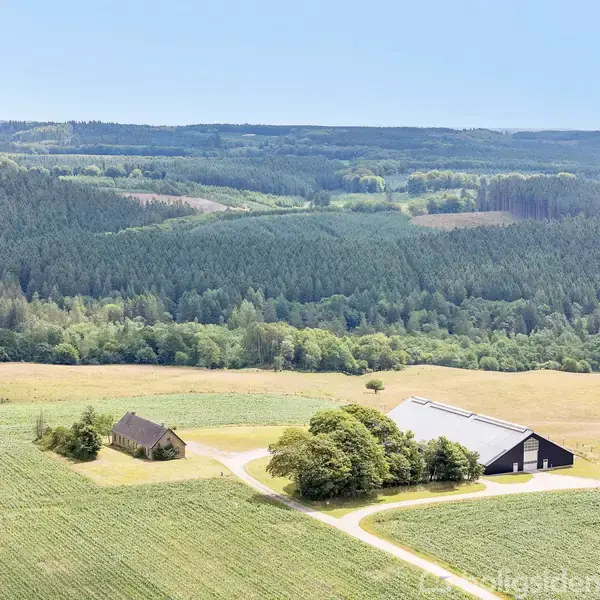 Et gårdkompleks med to bygninger ligger i et grønt landskab omgivet af marker og skov. En vej forbinder bygningerne og skærer gennem det naturskønne område.