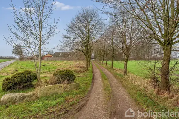 Planteavlsgård/-jord på Hammervej 2, 7160 Tørring