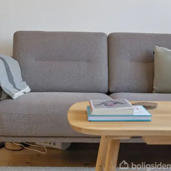 Grå sofa med et tæppe over armlænet står i en stue. Foran sofaen er et træbord med bøger og en skål. Gulvet er træ, og væggen er hvid.