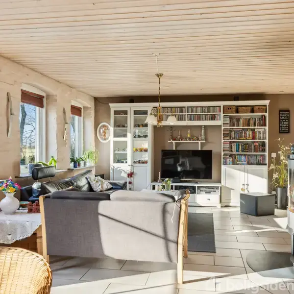 Stue indrettet med grå sofaer foran et fjernsyn, omgivet af hvide reoler fyldt med bøger. På venstre side er vinduer med planter. I højre hjørne står en brændeovn.