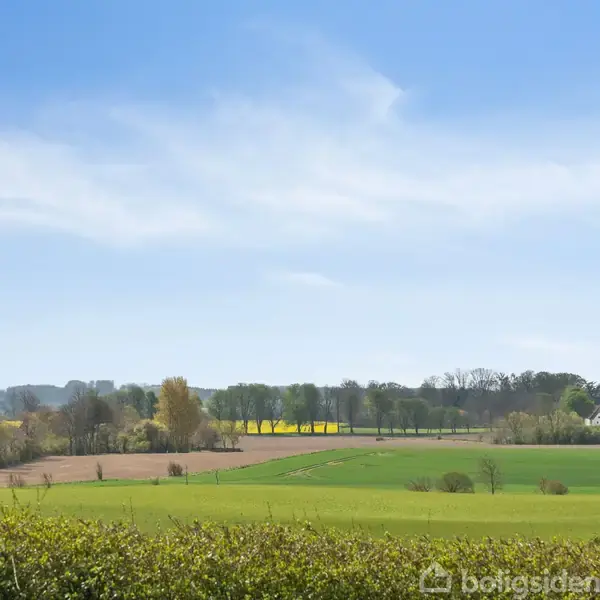Landskab med grønne marker og træer, der strækker sig mod en blå himmel med lette skyer. I baggrunden ses spredte bygninger og marker med gule blomster.