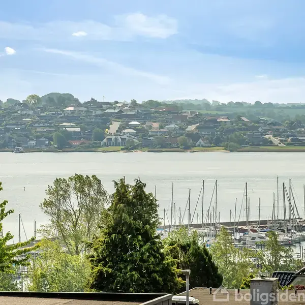 Sejlbåde ligger stille i en havn omgivet af grønne træer, mens en bakke med huse strækker sig langs den modsatte kystlinje under en klar, blå himmel.