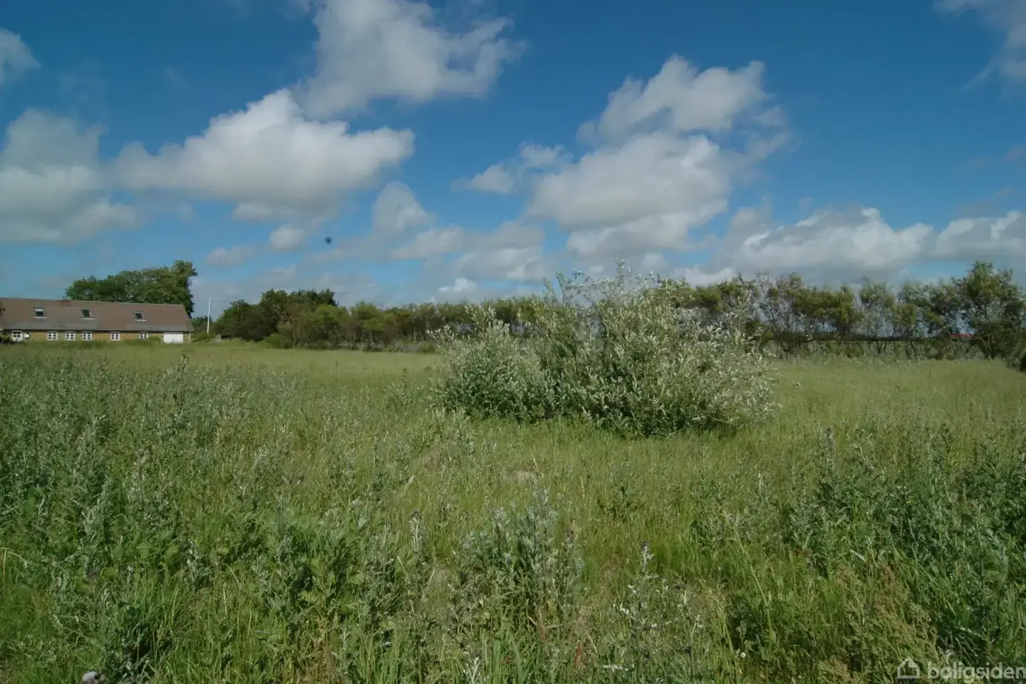 Helårsgrund på Driften 23, 9490 Pandrup