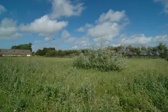 Helårsgrund på Driften 23, 9490 Pandrup