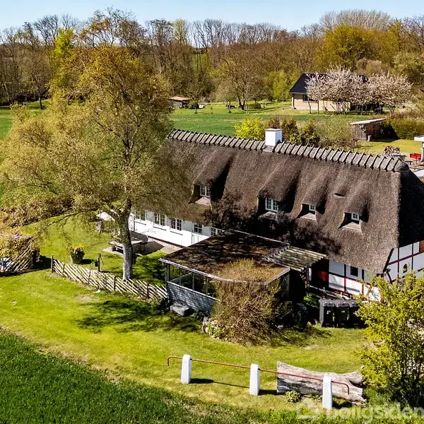 Stråtækt hus med hvid facade står i landskabeligt område omgivet af grønne marker og træer, med havet i baggrunden. Terrasse og have er synlige foran huset.