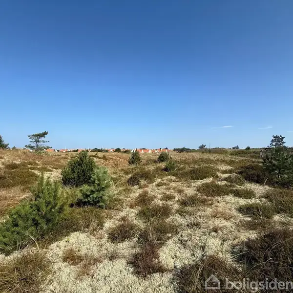 Et åbent landskab med tør vegetation, hvor enkelte småbuske vokser. I baggrunden ses en række huse med orange tage mod en klar blå himmel.