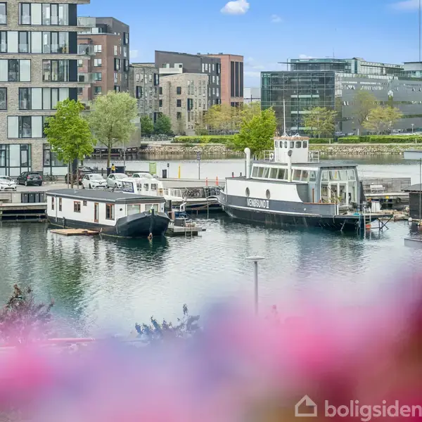 En havn med to både fortøjede ved kajen; en husbåd og en færge med teksten "BERNICO". Omgivet af moderne bygninger, træer og blomster i forgrunden.